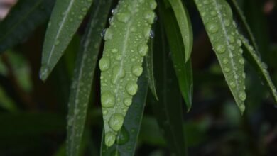 drop rate duration correlation