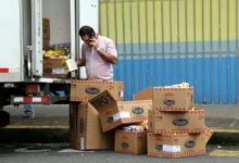 hourly call attempt breakdown