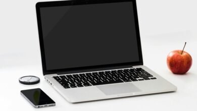 movie download website platform